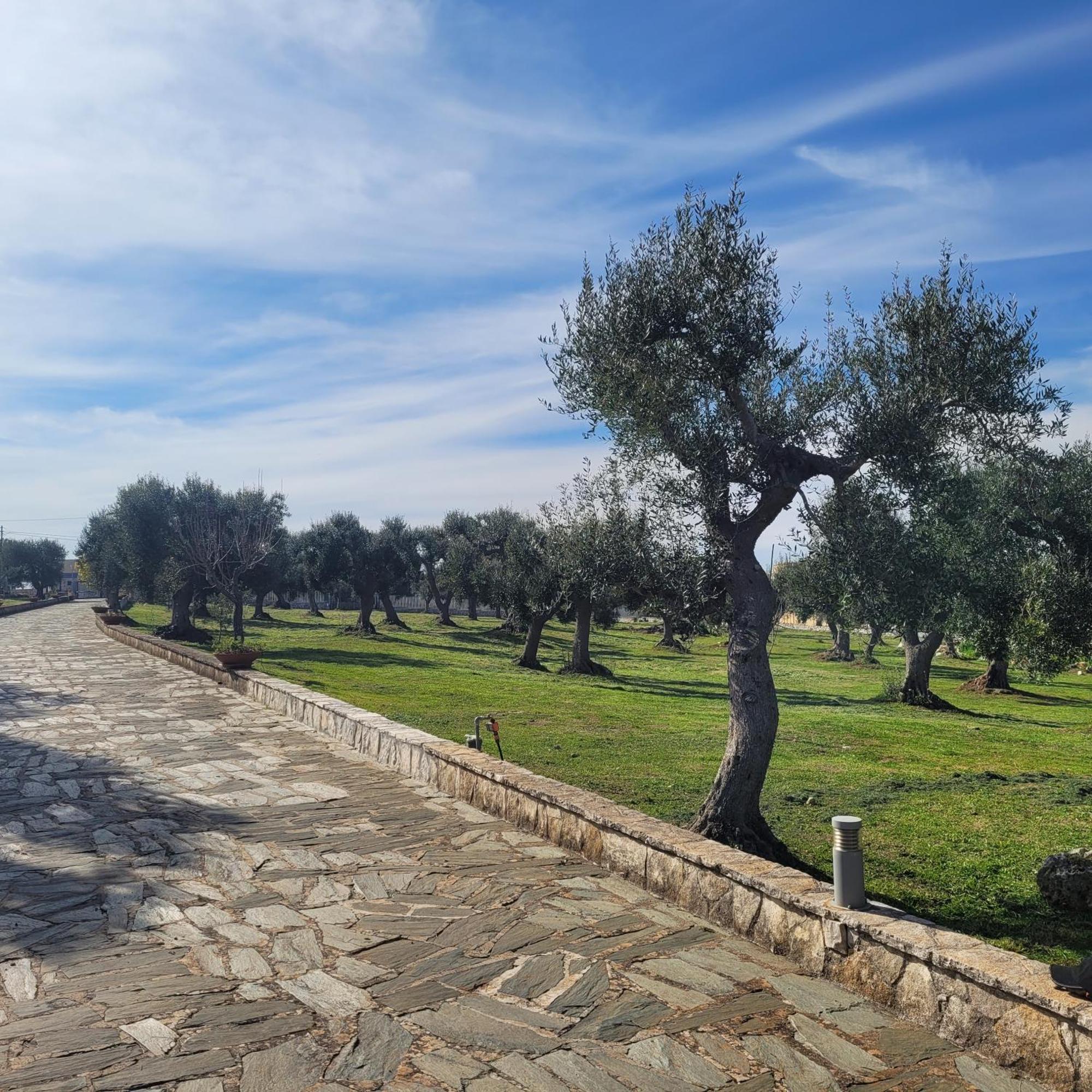 Terracielomare Apartments Monopoli Eksteriør bilde